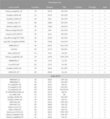 Genome-wide association mapping of bread wheat genotypes using yield and grain morphology-related traits under different environments